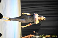 2009 Lunar Gala 