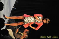 2009 Lunar Gala 