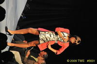2009 Lunar Gala 