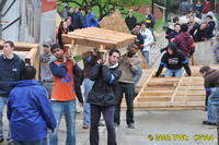 2009 Carnival 