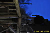 2009 Carnival 