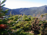 Mt. Washington 