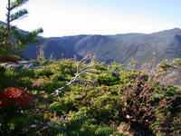 Mt. Washington 