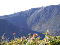 Mt. Washington 