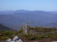 Mt. Washington 