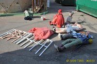 2009 Carnival 