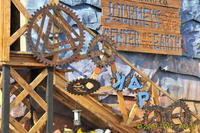 2009 Carnival 