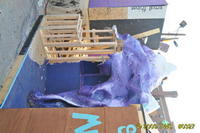 2009 Carnival 