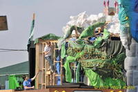 2009 Carnival 