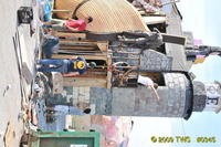 2009 Carnival 