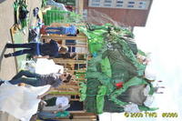 2009 Carnival 