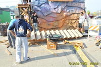 2009 Carnival 