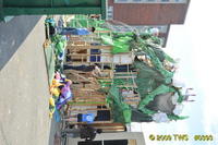 2009 Carnival 