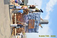 2009 Carnival 