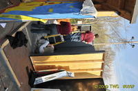 2009 Carnival 