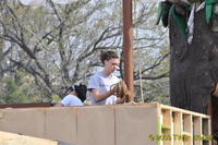 2009 Carnival 