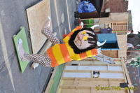 2009 Carnival 