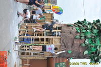 2009 Carnival 