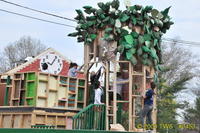 2009 Carnival 