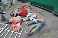 2009 Carnival 