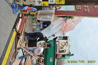 Carnival 2009 