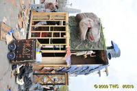 Carnival 2009 