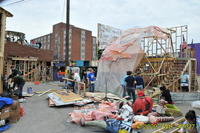 Carnival 2009 