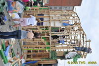 Carnival 2009 