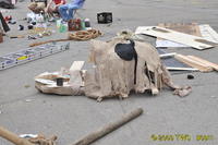 Carnival 2009 