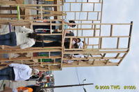 Carnival 2009 