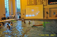 Mostly taken by Meg Richards other than the ones where she's in the water.