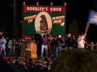 groundhog 