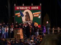 groundhog 