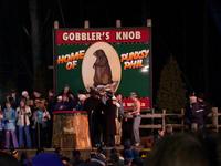 groundhog 