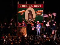 groundhog 