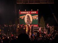 groundhog 
