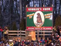 groundhog 