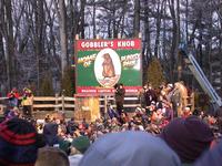 groundhog 