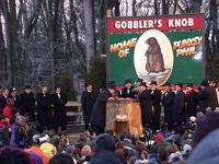 groundhog 