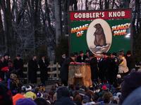 groundhog 