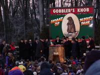 groundhog 