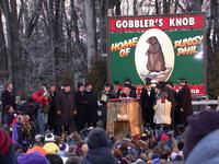 groundhog 