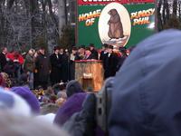 groundhog 