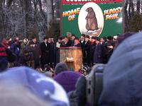 groundhog 