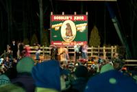 groundhog 