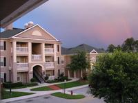 The view from my balcony.