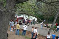 Carnival 