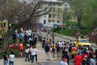 Carnival 