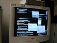 Third digital photo ever for me. A screen frozen in time